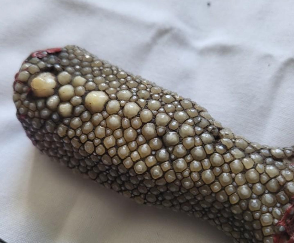 Indo-Persian dagger 19th CENTURY