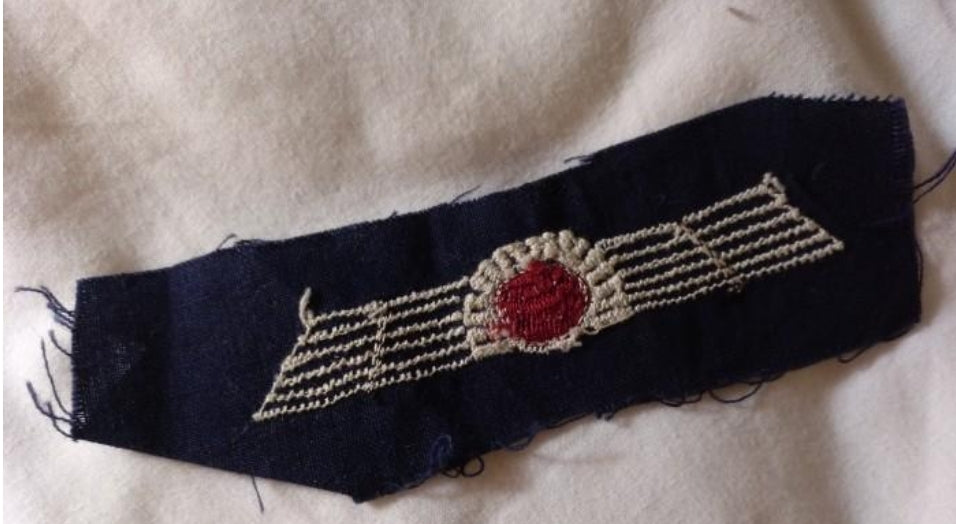 Alas de aviación republicanas