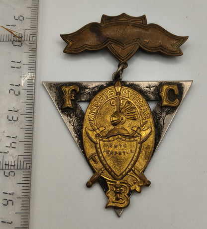 Masonic medal Knights of Pythias. USA