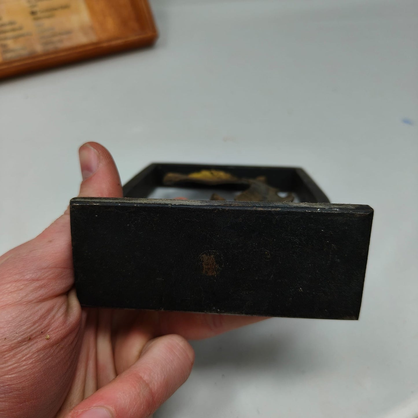 Placa regimental. 91 división jäger de la wehrmacht