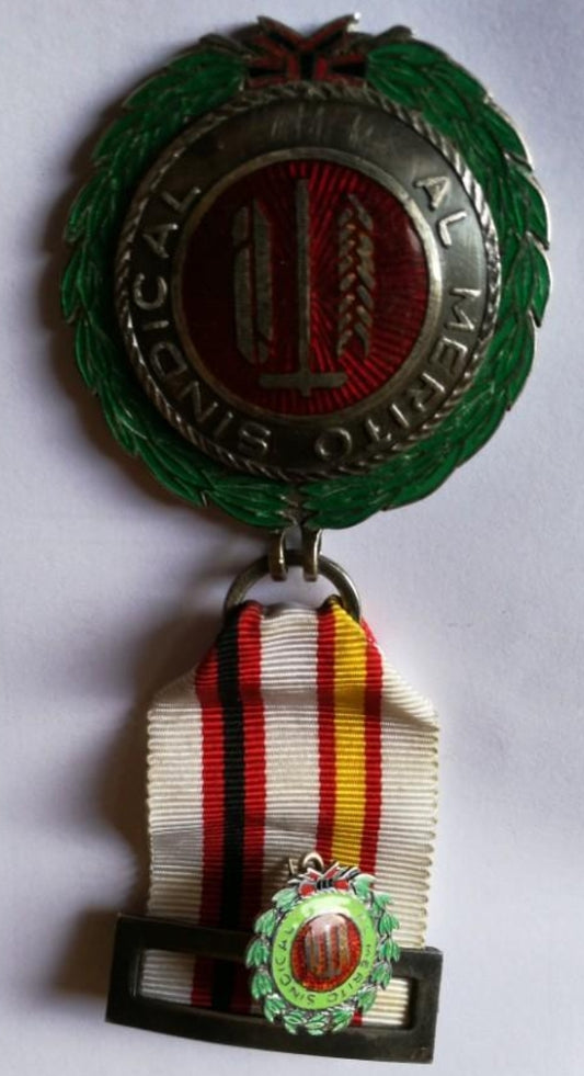 Medalla al Mérito de la Unión 