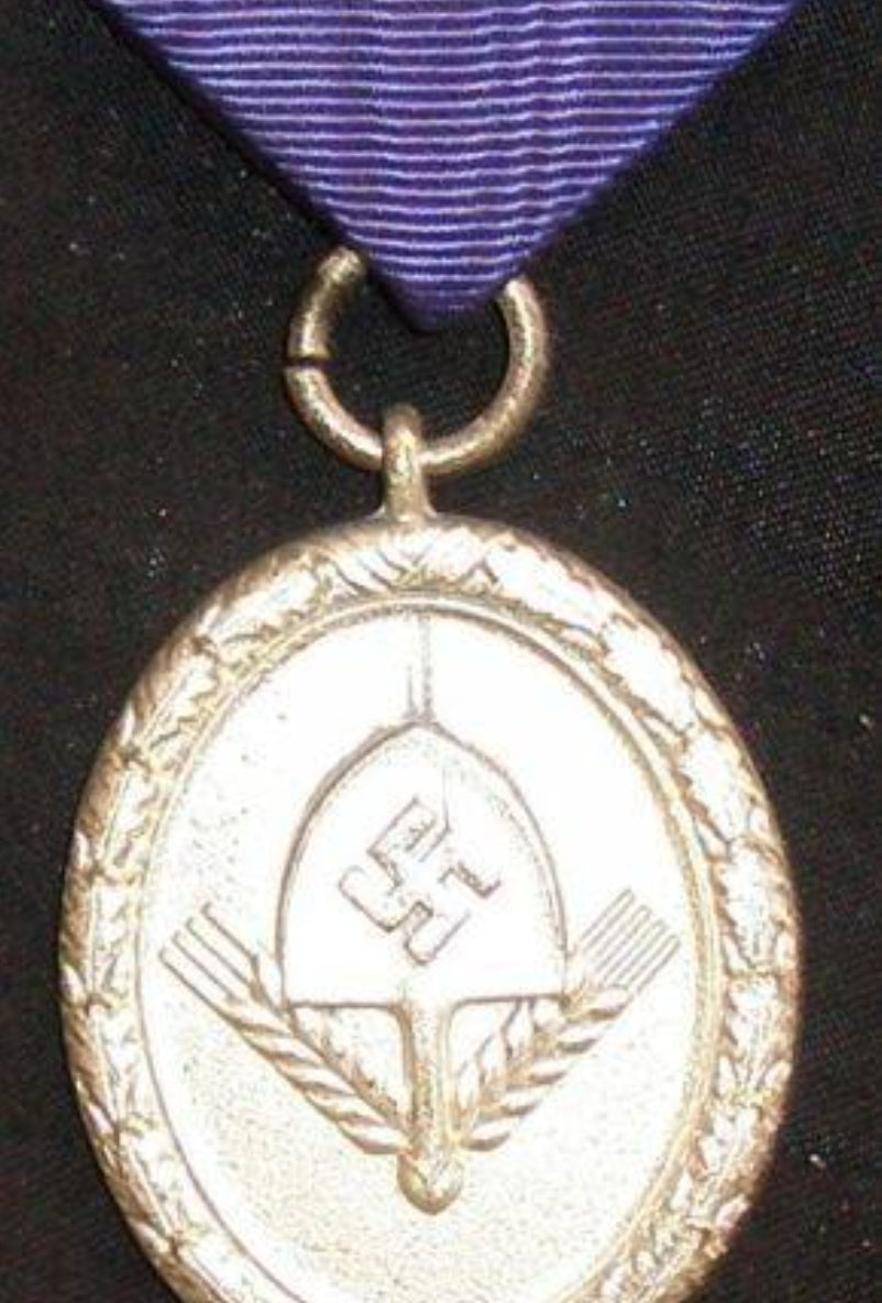 German 3rd Reich period RAD Merit Medal Silver class. With its ribbon