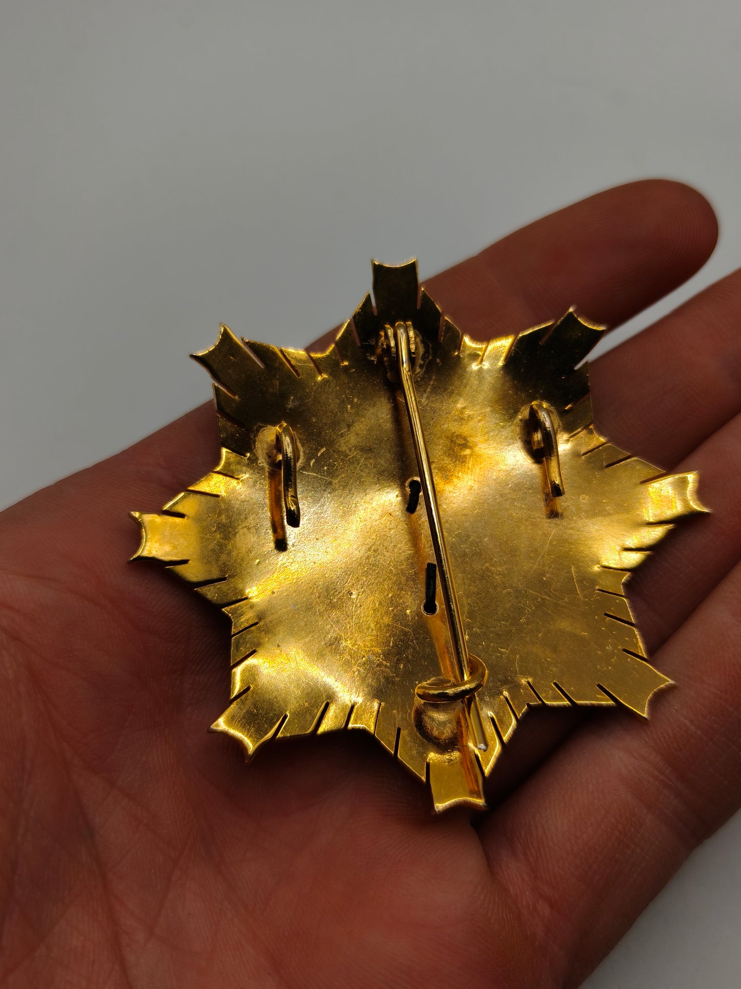 Medalla placa mérito orden servicio Politécnico