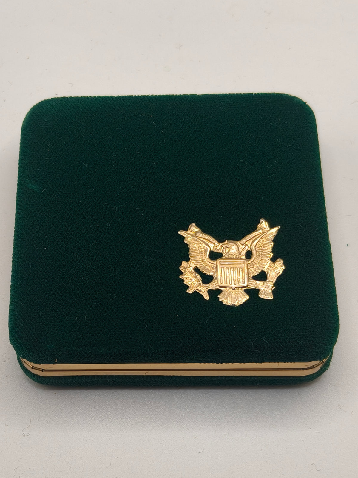 Vietnam Veterans Medal. USA