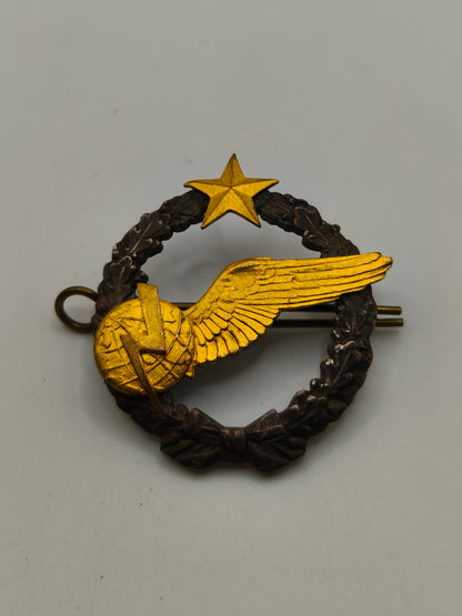 Insignia Aeronáutica Francia