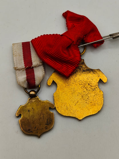 Medallas de la Cruz Roja Española para dama