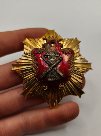 Medalla placa mérito orden servicio Politécnico