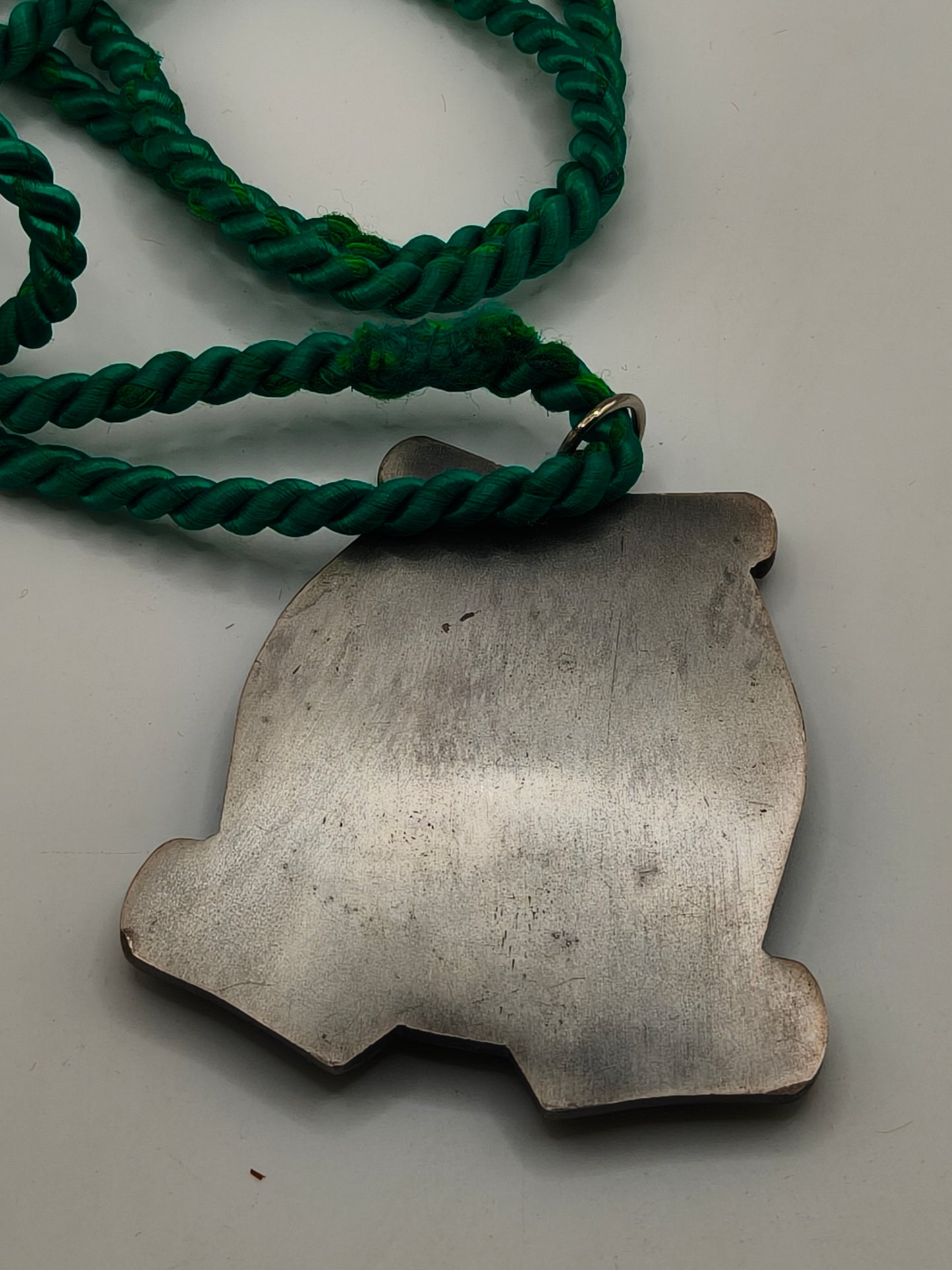 Gerichtsmedaille für Sozialwissenschaftler ESP
