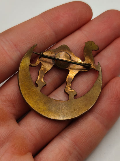 Insignia Camello África Occidental. Época Franco.