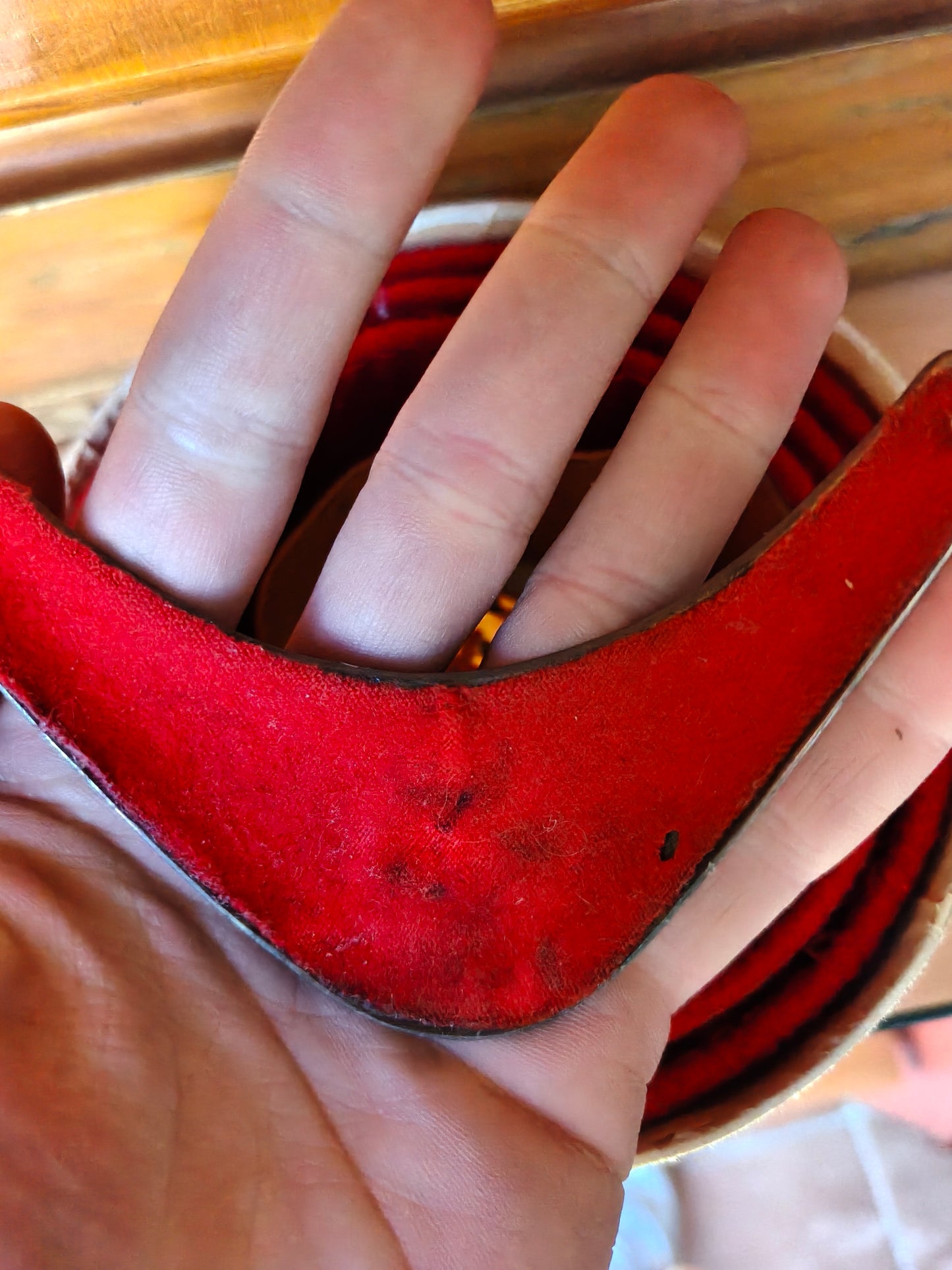 Conjunto correajes de Gala Casa Real del Pardo