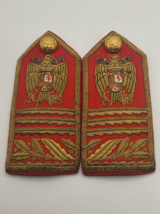 Spanish diplomatic epaulettes. Goldwork