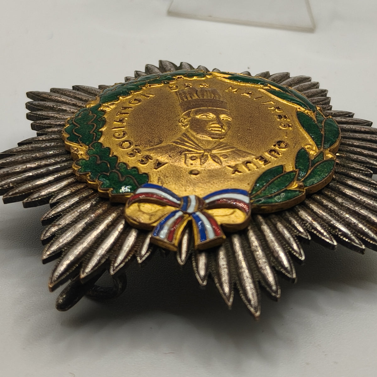 Order of "Maîtres Cuisiniers de France", Breast Star.