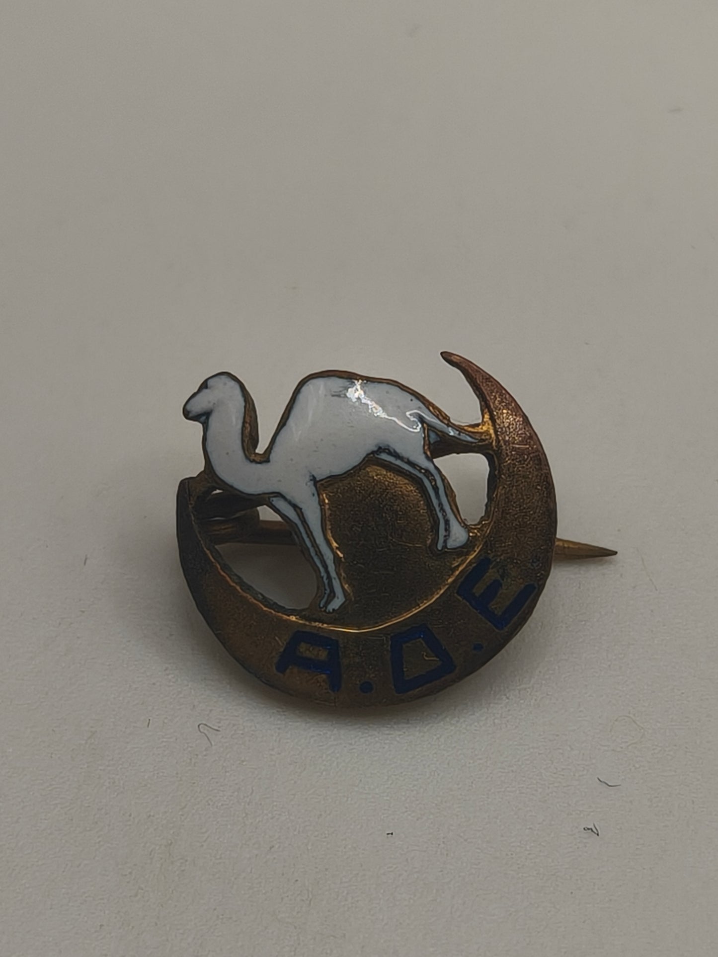 Colonial Camel Sahara Badge Mini. Spain North Africa