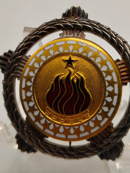 Medaille Orden der Brüderlichkeit und Einheit. Jugoslawien. Silber