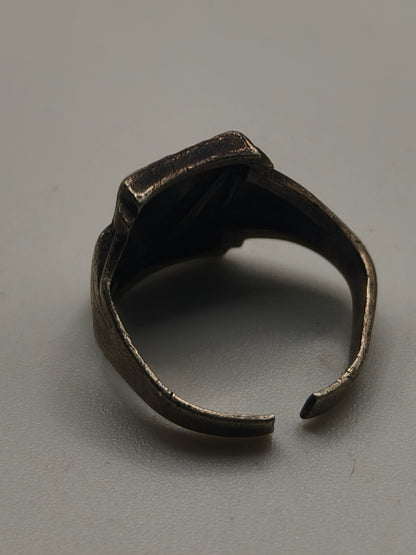 Freikorps Ring, IIWW Germany.