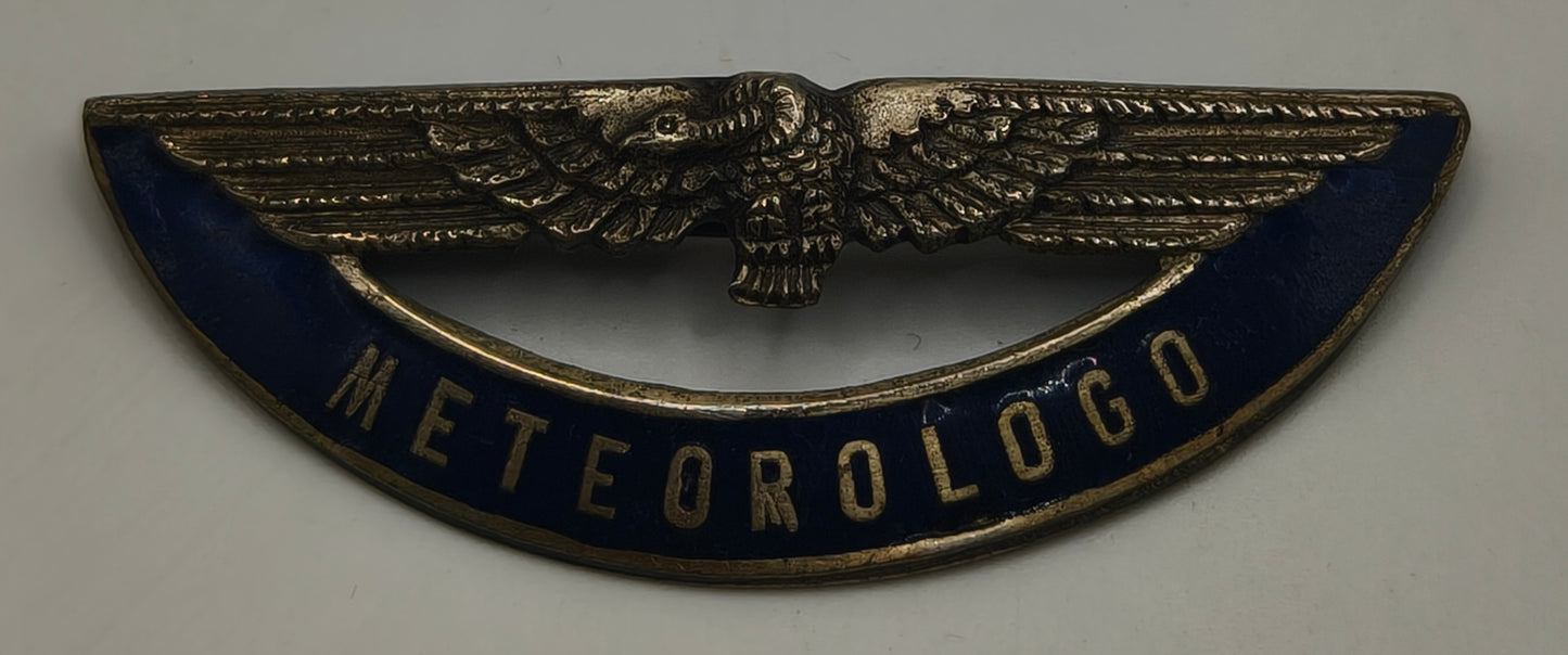Insignia alas aviación meteorología. Argentina